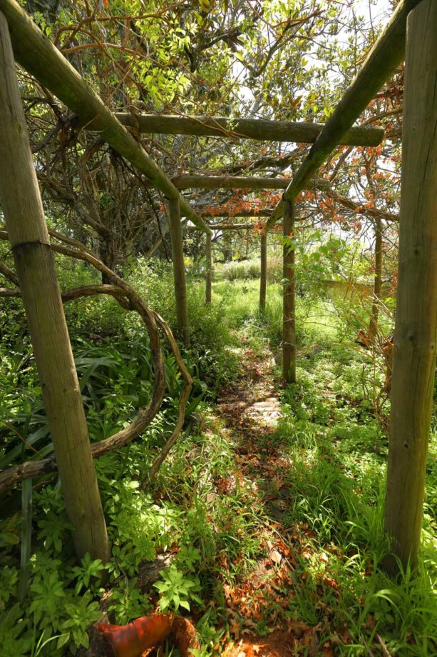 Garden tidy ups