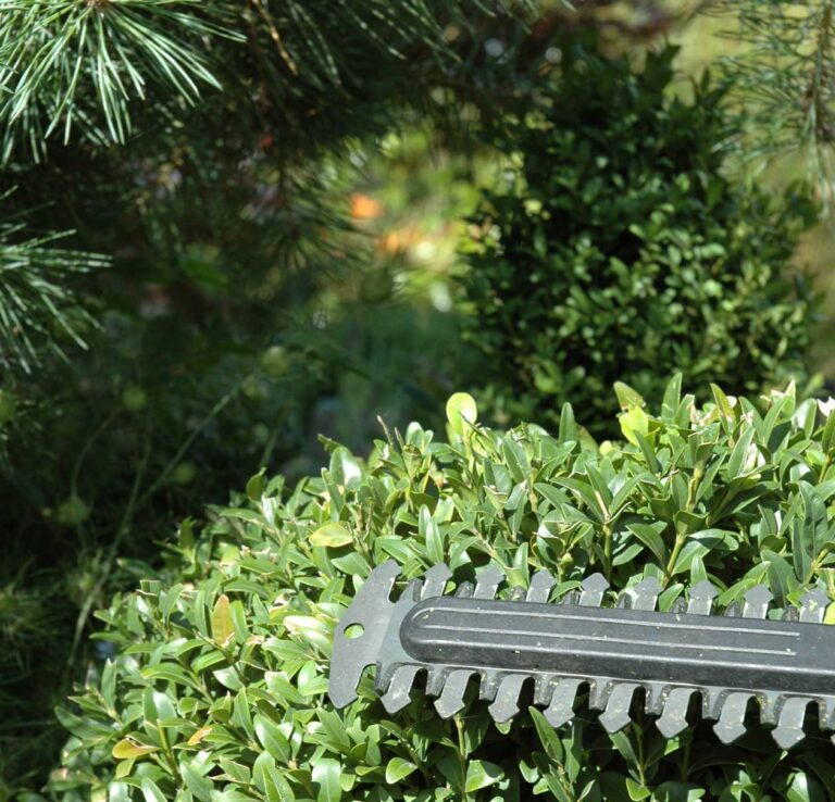 Hedge Cutting
